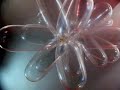 Condom Mania