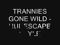 Runescape Trannies Gone Wild!