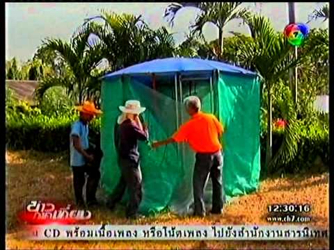 การเพาะเห็ดนางฟ้า - โรงเพาะเห็ดถอดประกอบด้ โดย ผู้ช่วยศาสตราจารย์วิระ ศรีธัญรัตน์ สาขาวิชาพืชศาสตร์...