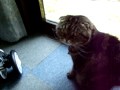 �ʤ��ʤ������ʤ������ƥ��å���ե������:YouTube������=8��