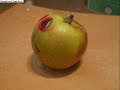 Chris Apple - Levetation