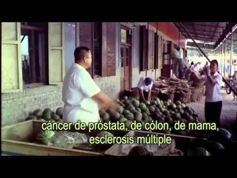 Imagen de previsualización de YouTube