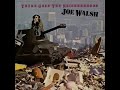 Made Your Mind Up - Joe Walsh