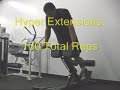 Back Work Out - Pull Downs, DB Rows, Hyper Extensions