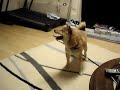 Keito Spinning