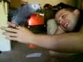 my roommate's african grey dislikes
my boyfriend so much, that even when he puts his hand near her, she tries to bite him. but this time, my boyfriend pulled away quickly and chloe (the parrot) ended up biting my roommate instead. :d

sorry if the quality is bad. it was taken with a cell phone.
