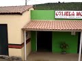 Plantação de café em Capelinha/MG Plantação de café em Capelinha/MG