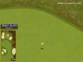 Golden Tee Great Shot on Sunny Wood!