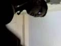 moul teleboutique