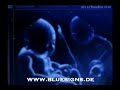 Blau und Weiß ein Leben lang Blau und Weiß ein Leben lang