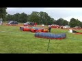 Tunnel Crazy Dog Agility!!