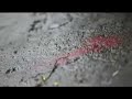 FSOL - Raining Day
