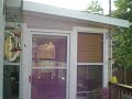 Humming Bird Invasion at the Krebs Zoo