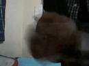 jkajajaja es un niñito q ta en lea kjakjaakjamirenle la cara de caliente