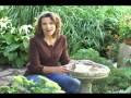 Bird Baths,ceramic bird baths