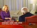 Cheney Tells America 'Go Fu*k yourself