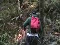 A hike in HJA LTER