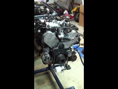 Isuzu rodeo engine tick update