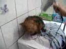 c zoe ki sor de la douche