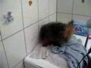 c zoe ki sor de la douche