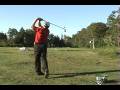 videos de DTL 7