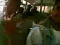 DESI TAJE ON D BUS (AMLI STYLE)