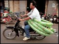 Funny World Funny World