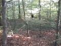 bigfoot-sighting-in-luxembourgeurope-better-quality.html