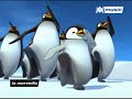 papa pinguin