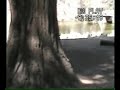 Yosemite precioso y espectacular Parque