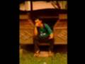 videos de 2 pac - dear mama