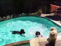 THREE IDIOTS