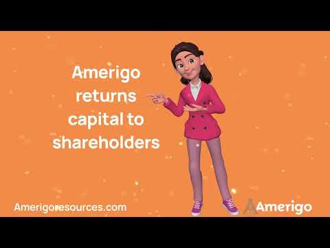 Short Video 4: Amerigo's Share Buybacks