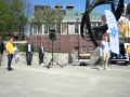 Erik Almqvist SD torgmöte Frölunda Torg 7maj pratar lite