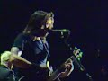 Foo Fighters Marigold Foo Fighters Marigold