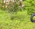 STandART - Fernfahrertraum (2004) STandART - Fernfahrertraum (2004)