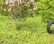 STandART - Fernfahrertraum (2004)