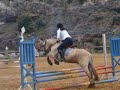 Concours avec Mon Cachou