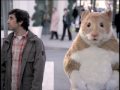 Glendale Kia Hamster is Back December 2009