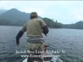 Bass Fishing w/ Jackall Soft Plastics Texas Rigged Style Bass Fishing w/ Jackall Soft Plastics Texas Rigged Style