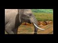Afrika: PS3 Game Trailer