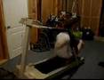 Treadmill-Tricks-OK-