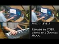 Click here to watch this video Avicii - Levels Google Moog Remix