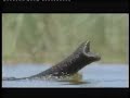 Globalnomad-nature-better place-Enviromentality Globalnomad-nature-better place-Enviromentality