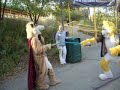goldenwolf battles the indy zoo meercat