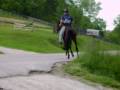 horse,ky,mountain