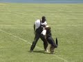 2008 Masters World Dog Sport Tournament
