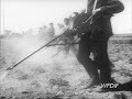 Propaganda PRL-u - polskie kroniki filmowe - walka ze stonk?