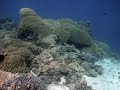 Great Barrier Reef, Ribbon Reefs. Part 1