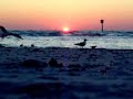 Gulf of Mexico Sunset at Clearwater Beach, Florida 3/19/07